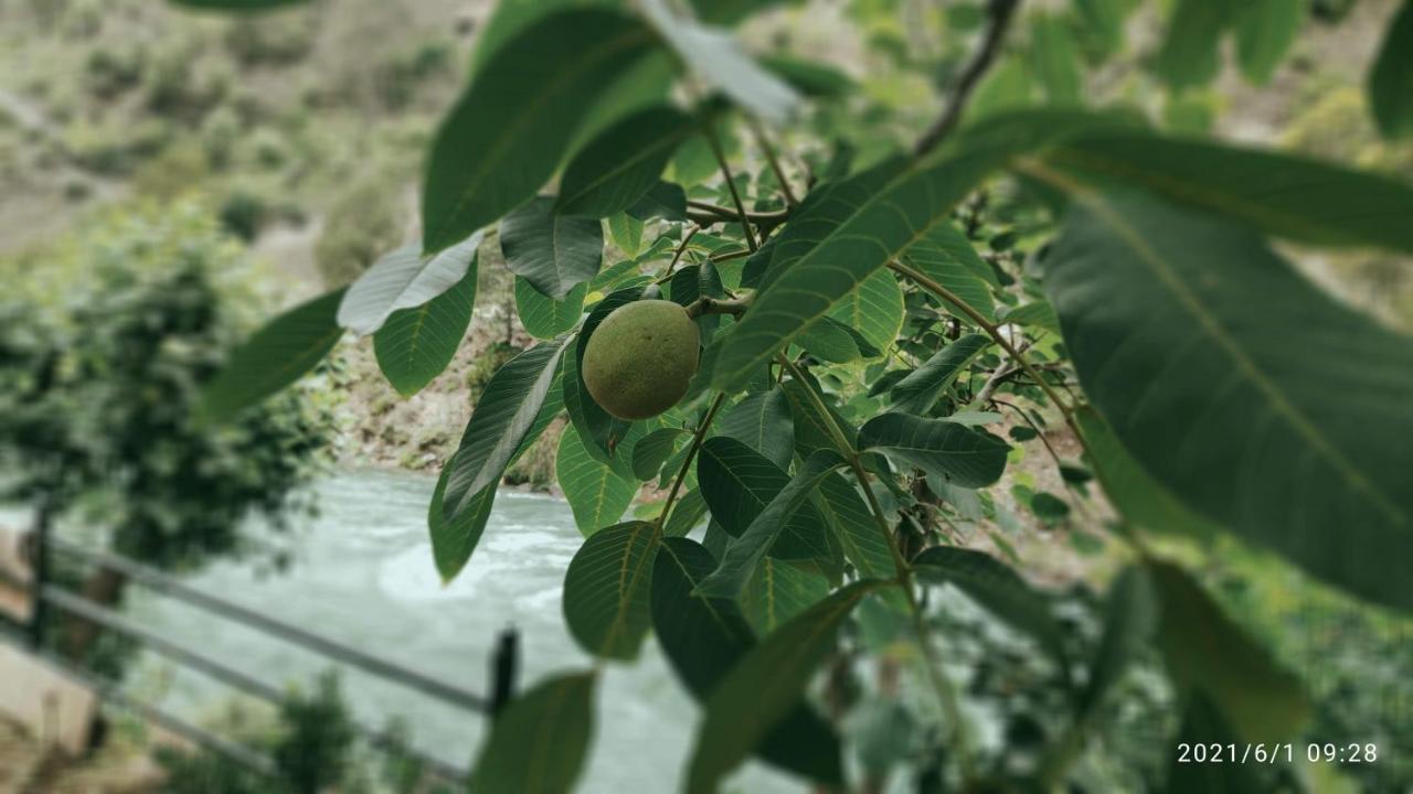 Tirthan Grand Riverside Banjār Dış mekan fotoğraf