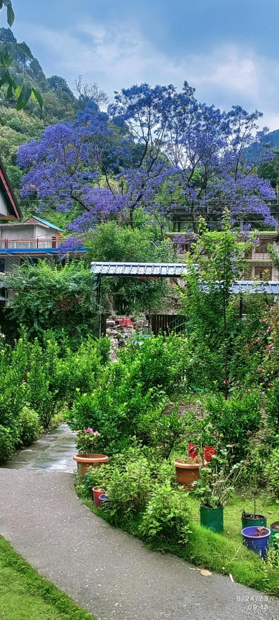 Tirthan Grand Riverside Banjār Dış mekan fotoğraf